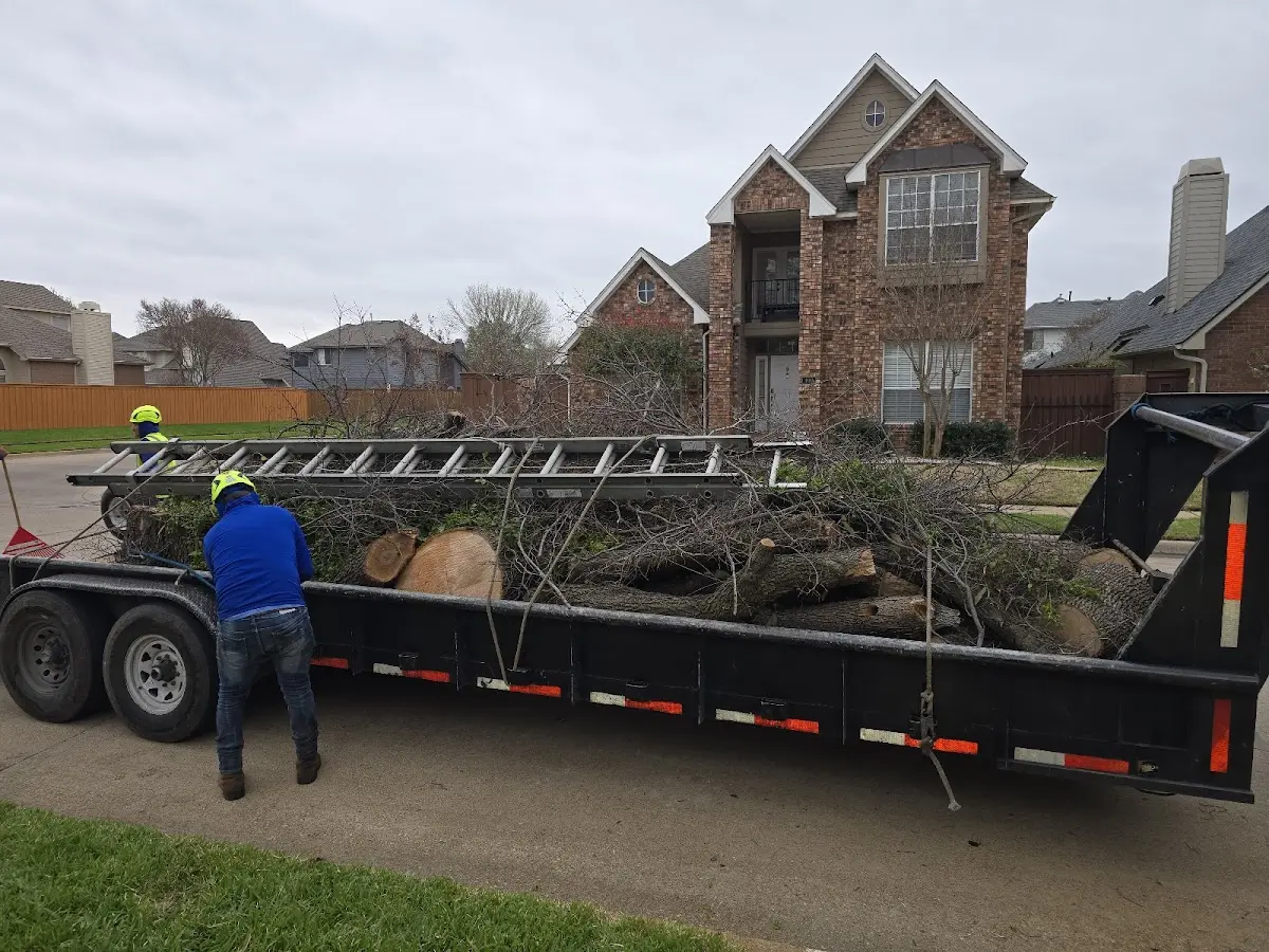 Expert Tree Fertilization with proper safety equipment in Poyntelle
